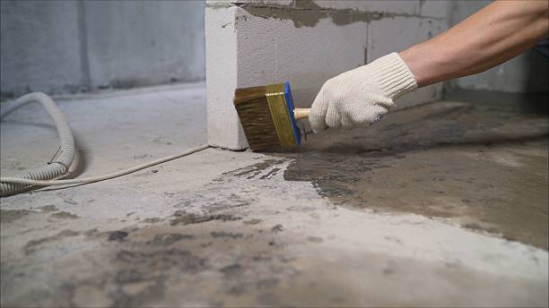24/7 Emergency Crawl Space Encapsulation experts in Attica, NY